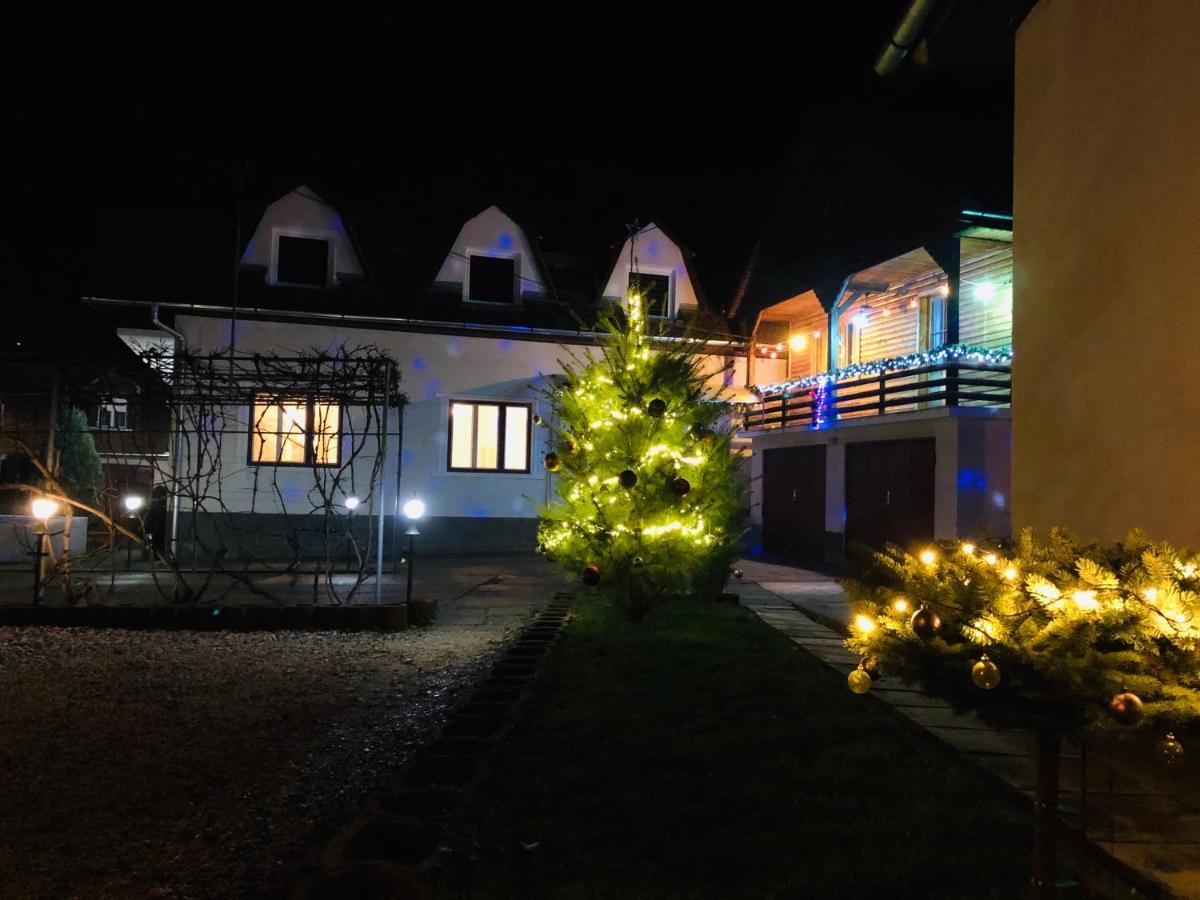 סיגישוארה Hotel Poenita מראה חיצוני תמונה
