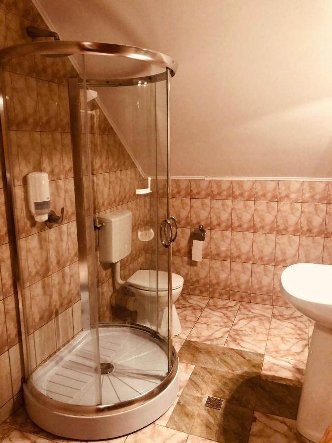 סיגישוארה Hotel Poenita מראה חיצוני תמונה
